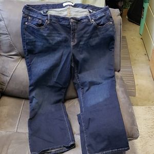 Torrid 24 S dark bootcut jeans